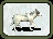 Arctic Wolf