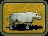 Black Rhino