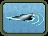 California Sea Lion
