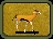 Gazelle