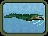 Saltwater Crocodile